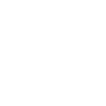 delani studio logo